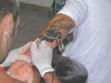 Dscn1138.jpg (46743 byte)