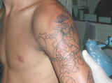 Dscn1147.jpg (54597 byte)